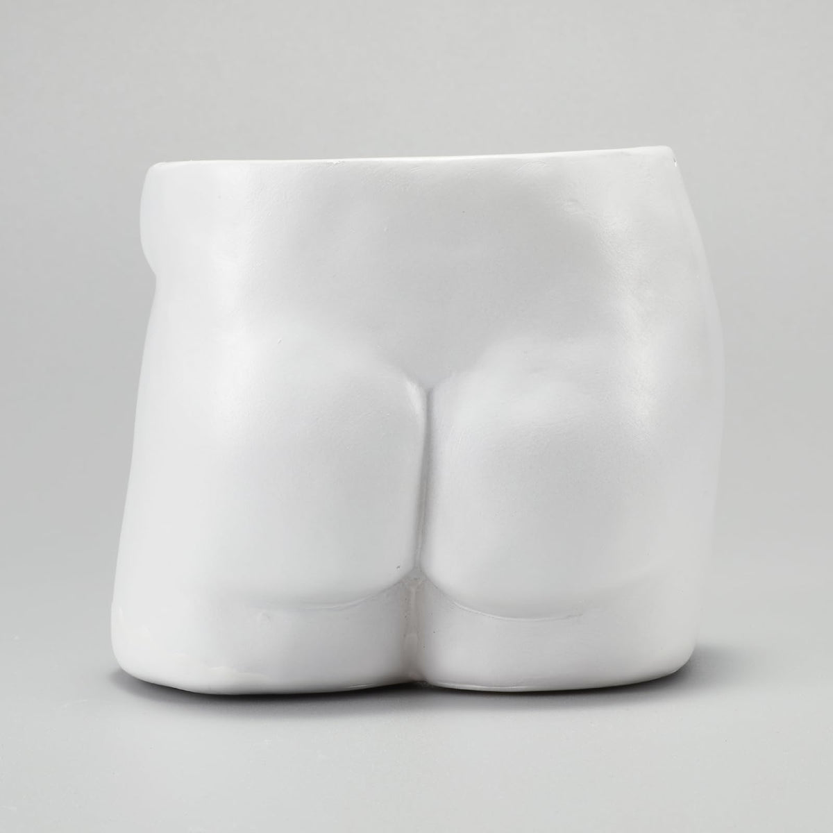 Lourich funny planter for cacti and succulents display.