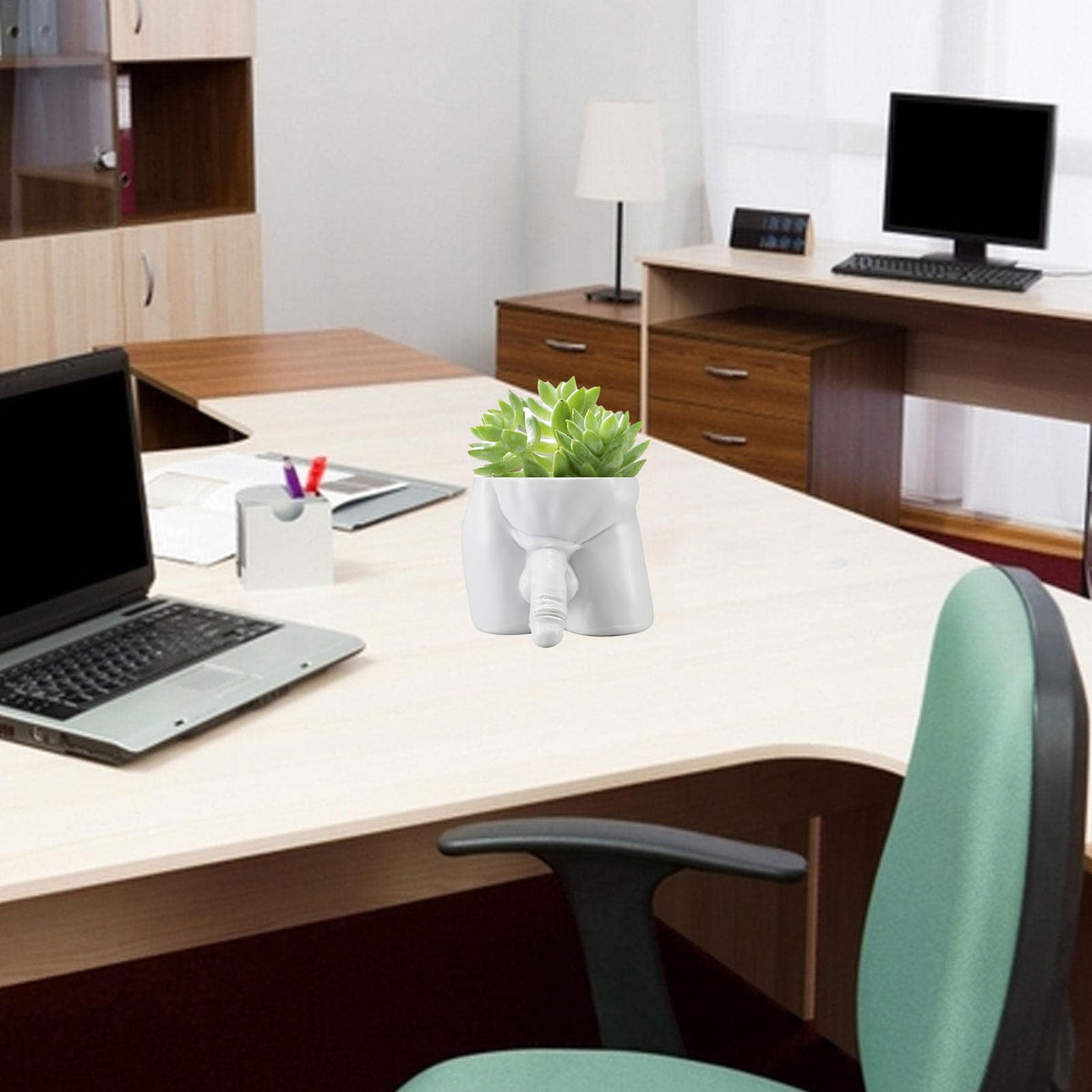 Lourich body vase holds small plants with a white finish.