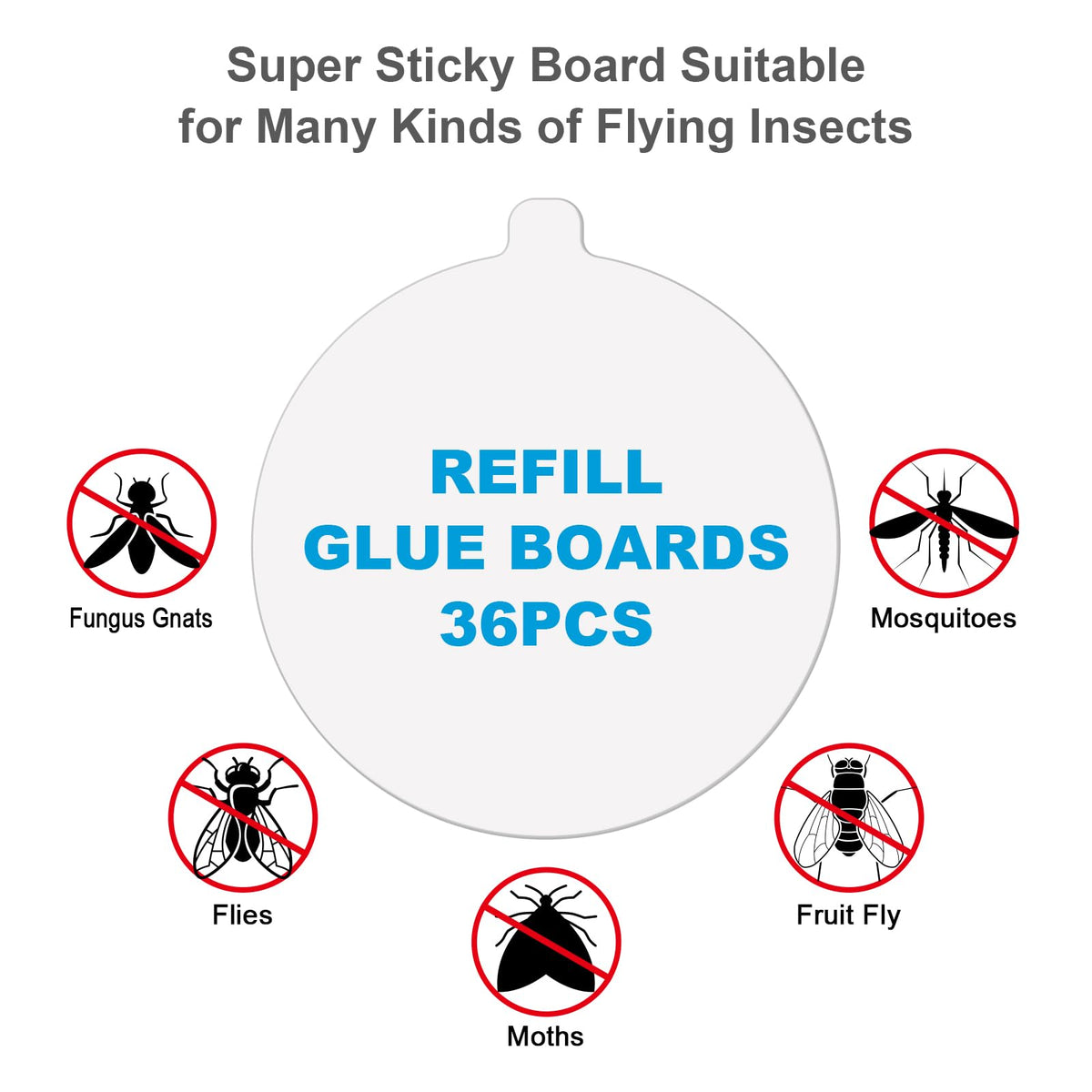 Lousye replacement plate compatibility with most indoor traps for easy refresh.
