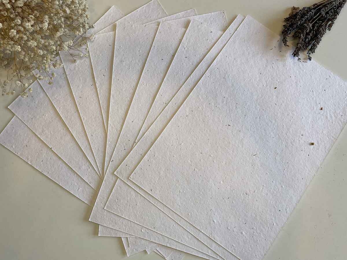 Love Rustic plantable seed paper card closeup with embedded seeds for easy gardening.