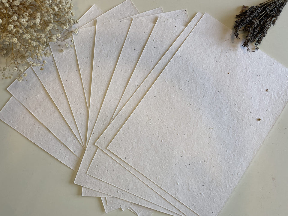 Love Rustic plantable seed paper card closeup with embedded seeds for easy gardening.
