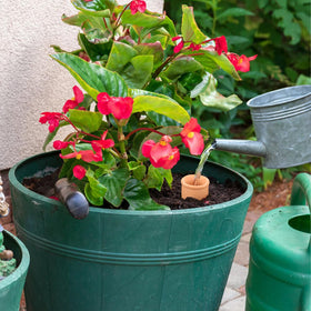 Lovely Ran Ollas soil-embedded pot with natural earthy finish blends in.