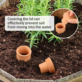 Lovely Ran Ollas pot used for indoor plants with auto irrigation potential.
