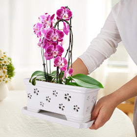 Lovely Ran rectangle white pot with bottom drainage hole to prevent water buildup.