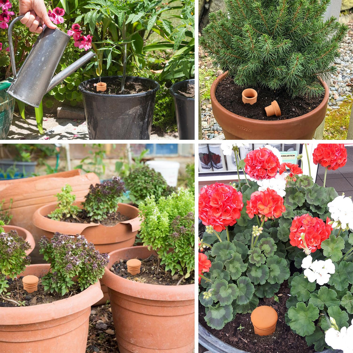 Lovely Ran self-watering solution supports various plants without daily attention.