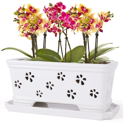 Lovely Ran orchid pot with holes and saucer for better root air circulation.