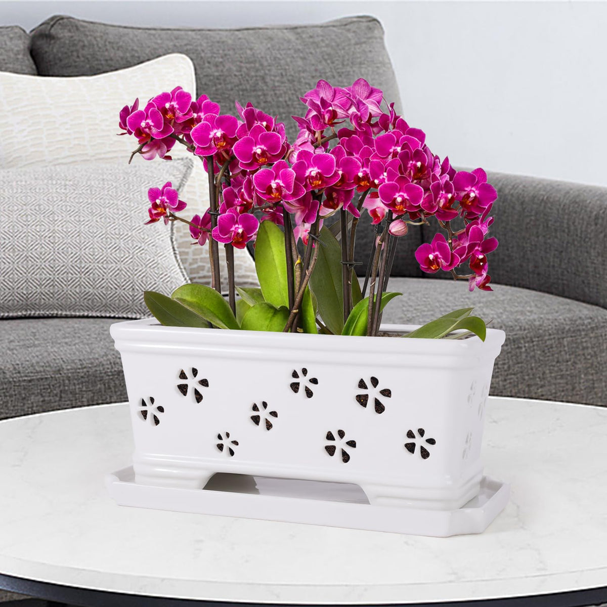 Lovely Ran orchid pot invites gardening fun for beginners and experienced growers.