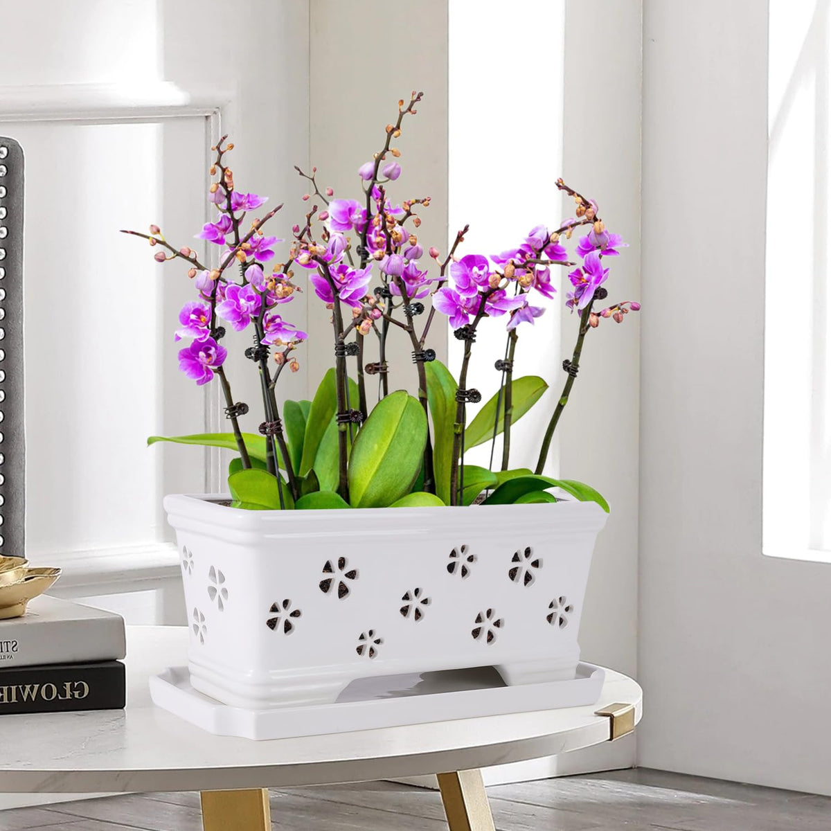 Lovely Ran white-glazed large orchid pot with elegant display and ample root space.