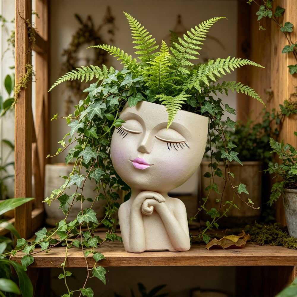 LovTocTic air plant holder showcases easy plant displays.