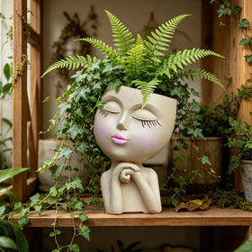 LovTocTic air plant holder showcases easy plant displays.