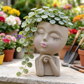 LovTocTic dried flower vase option for versatile displays.