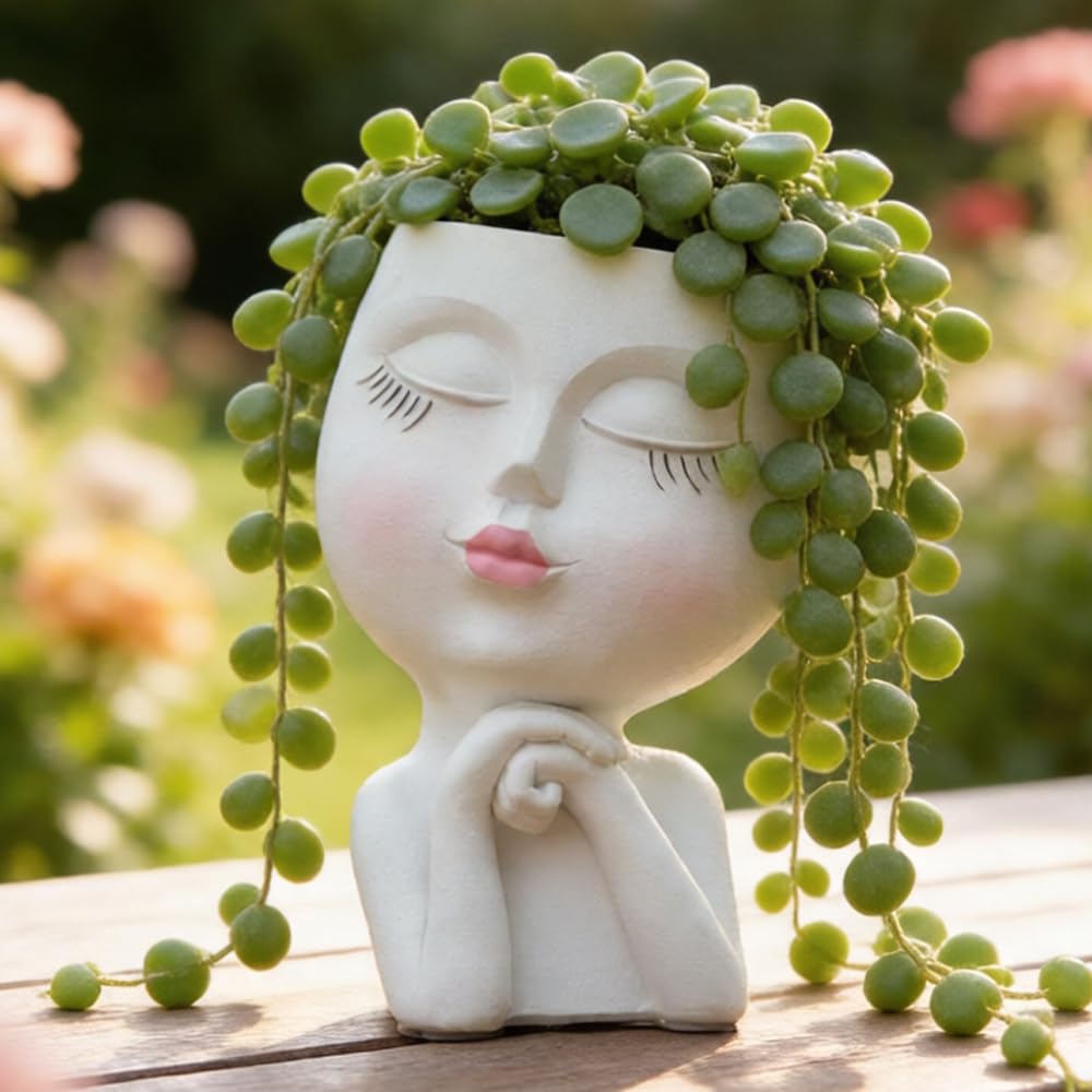 LovTocTic face planter smiling adds cheerful indoor decor for plants