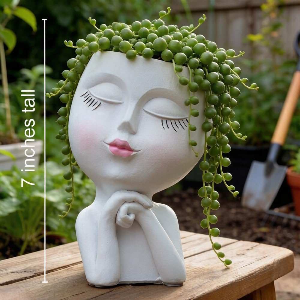 LovTocTic face planter suited for succulents and small plants