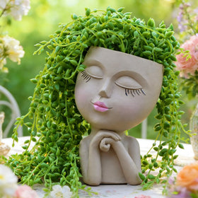 LovTocTic succulent and herb planter ideal for tiny indoor gardens.