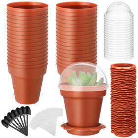 LOYIM cupcake pot with humidity dome for easy seedling monitoring