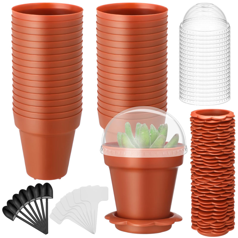LOYIM cupcake pot with humidity dome for easy seedling monitoring