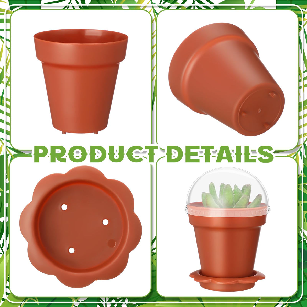 LOYIM plant labels 36-pack for tracking germination and growth
