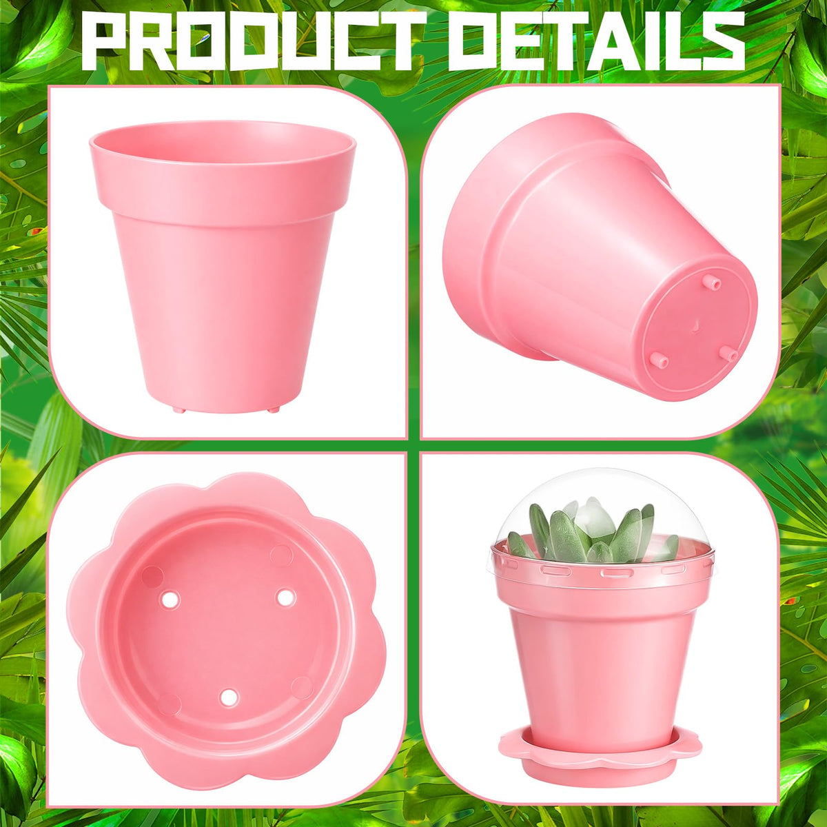 LOYIM plant labels help identify species and track growth across the tray