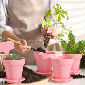 LOYIM seed starter kit supports easy indoor and outdoor planting projects