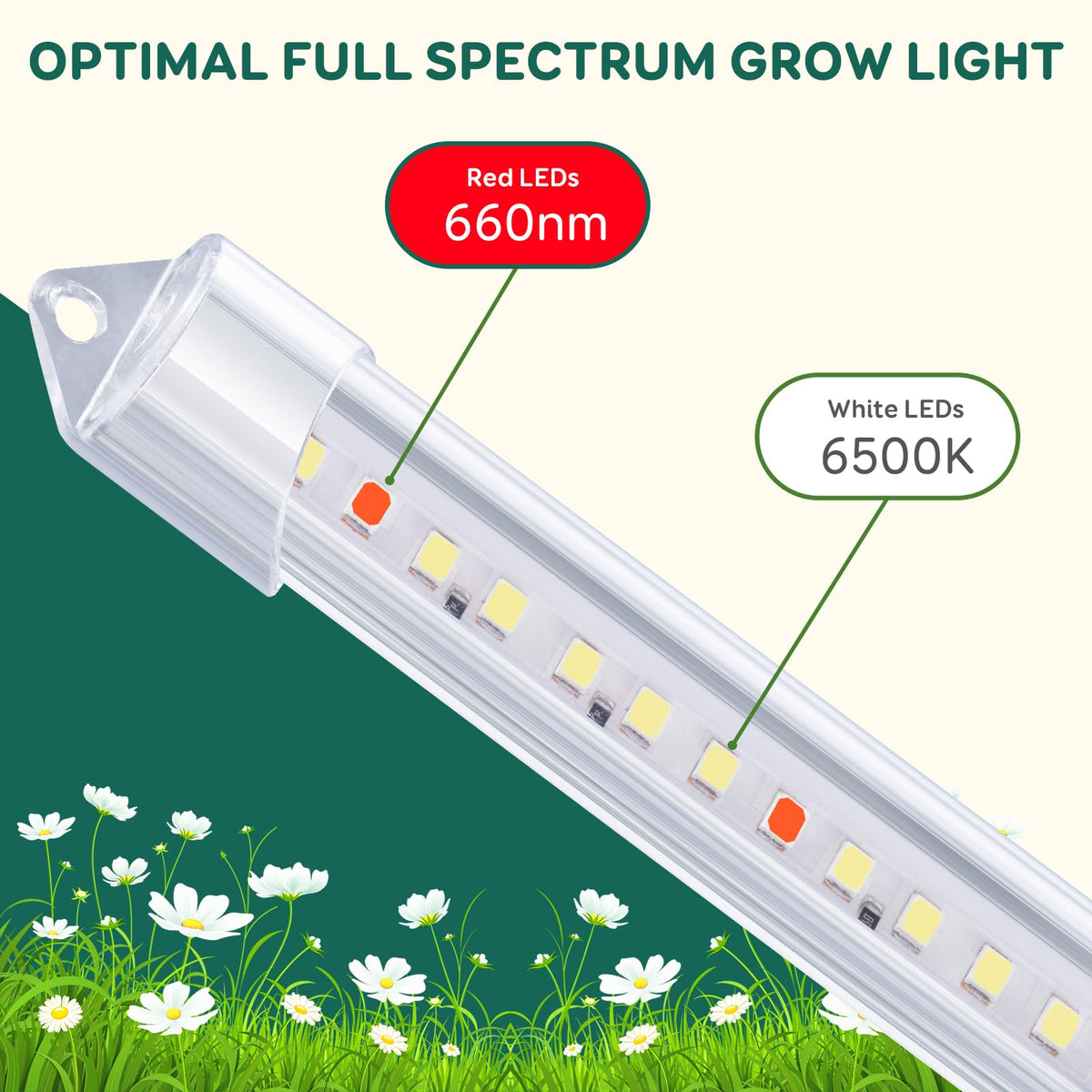 LPMZMBL three-mode switch lets white, red, or combined spectra.