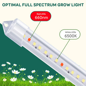 LPMZMBL three-mode switch lets white, red, or combined spectra.