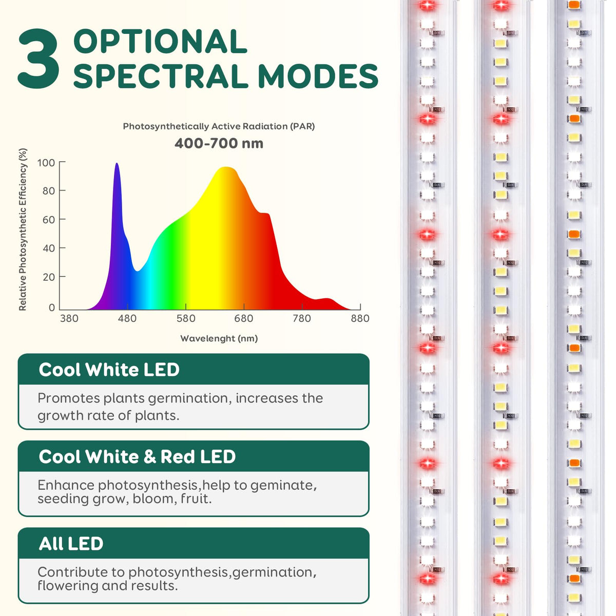 LPMZMBL timer-equipped light enables hands-free daily cycles for plants.