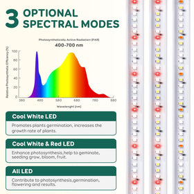 LPMZMBL timer-equipped light enables hands-free daily cycles for plants.