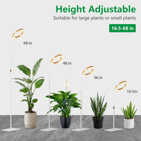 LPMZMBL Floor-standing plant lamp with auto timer for consistent light cycles.