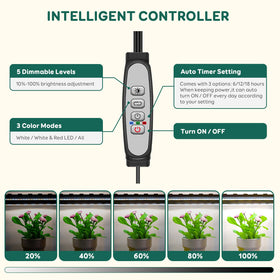 LPMZMBL full-spectrum 6500K and 660nm LEDs fuel healthy leaf development.