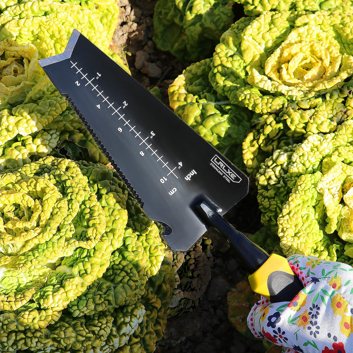 LRLXE long 13.38 inch shovel designed for versatility in the garden