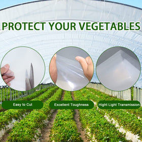 LSGCQ constant-temperature cover supports stable humidity for seedlings.