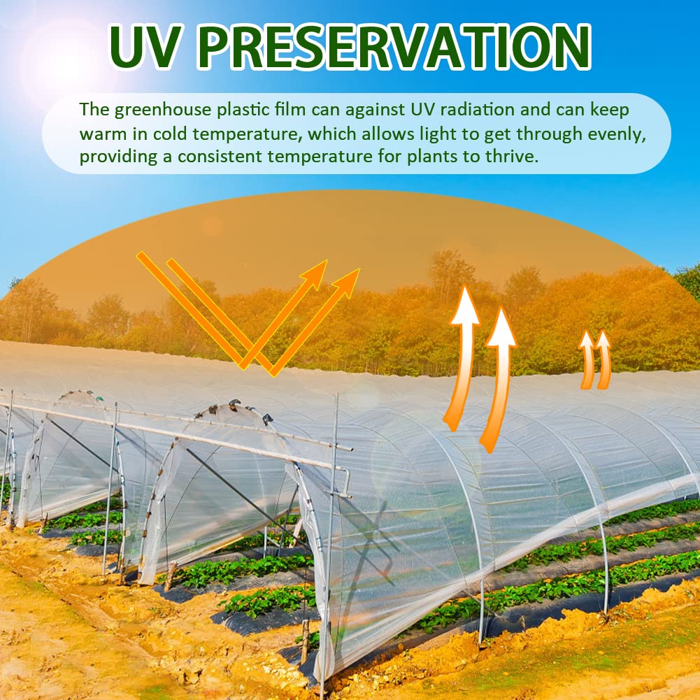 LSGCQ high-light-transmission film lets sunlight reach all zones.