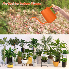 LTSUMI 35oz capacity watering can for regular plant watering