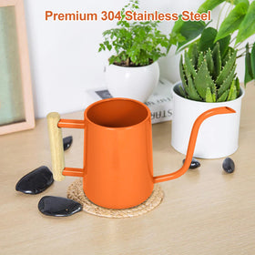 LTSUMI  Indoor and outdoor use watering can for versatile care