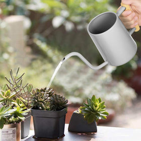 LTSUMI long spout enables precise, spill free watering of delicate plants.