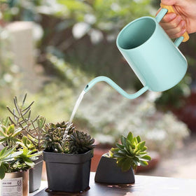 LTSUMI long spout watering can for targeted plant irrigation