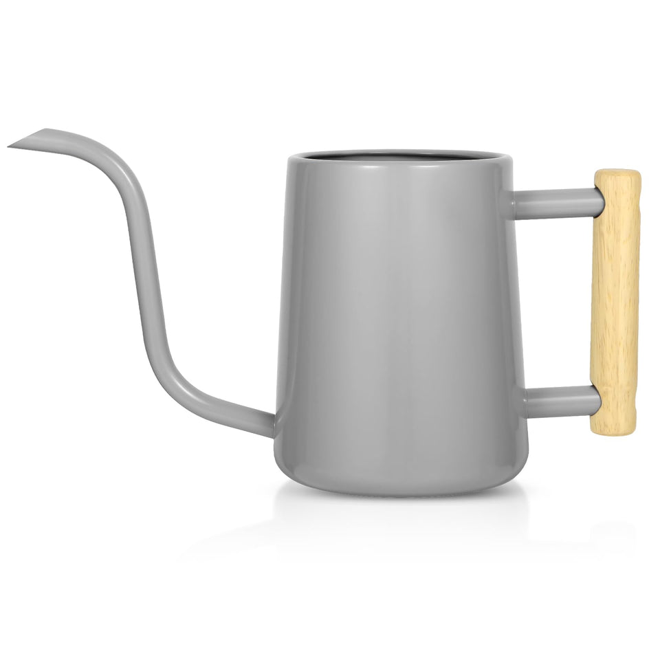 LTSUMI premium stainless steel watering can, gray finish, durable indoor use.