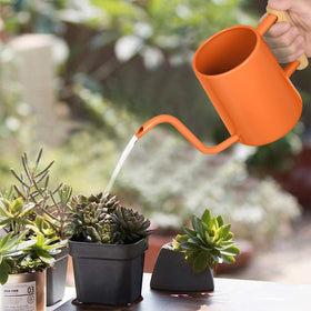 LTSUMI stainless steel watering can with wooden handle for sturdy grip