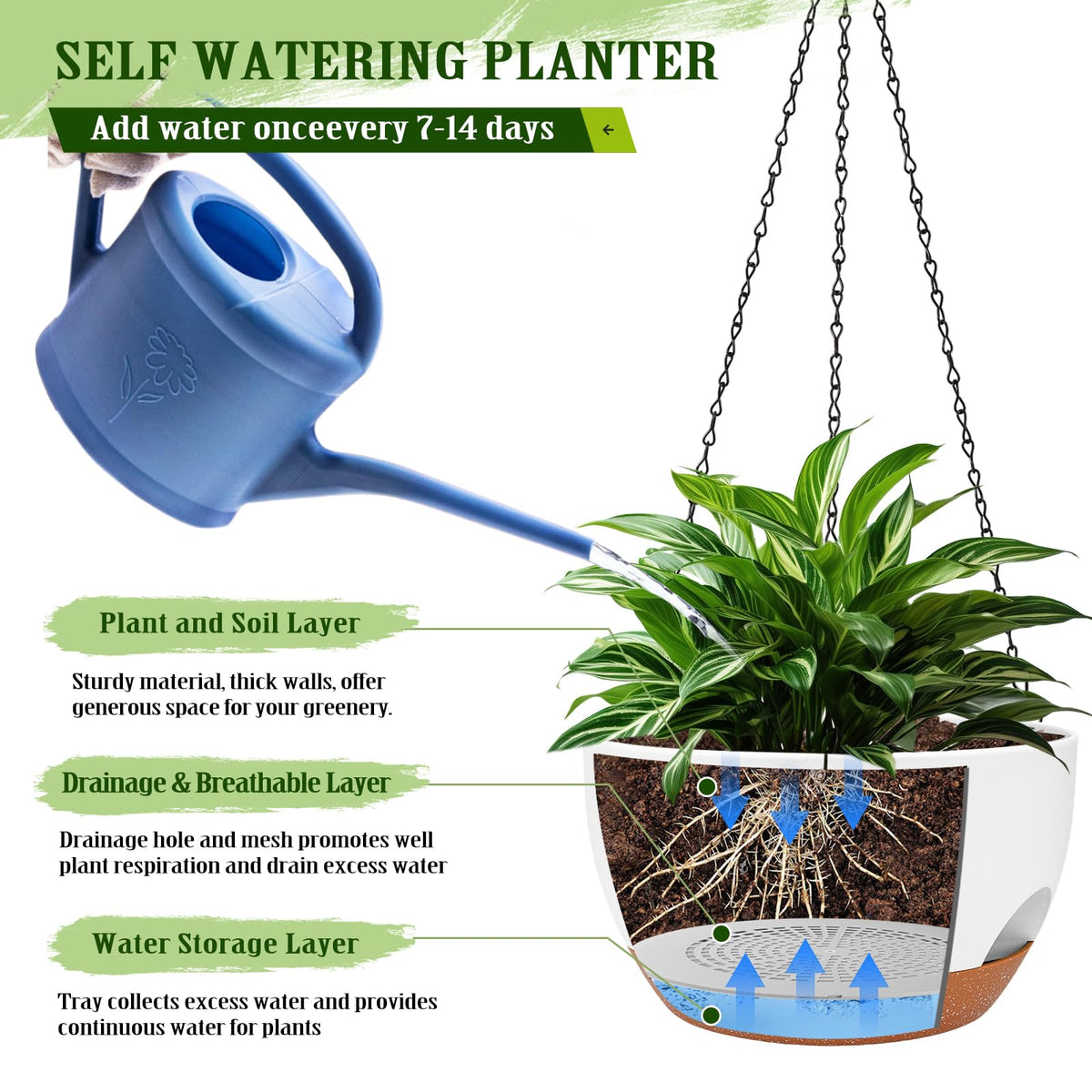 Lucieblessdesign 12-inch hanging planter in use for diverse plants.
