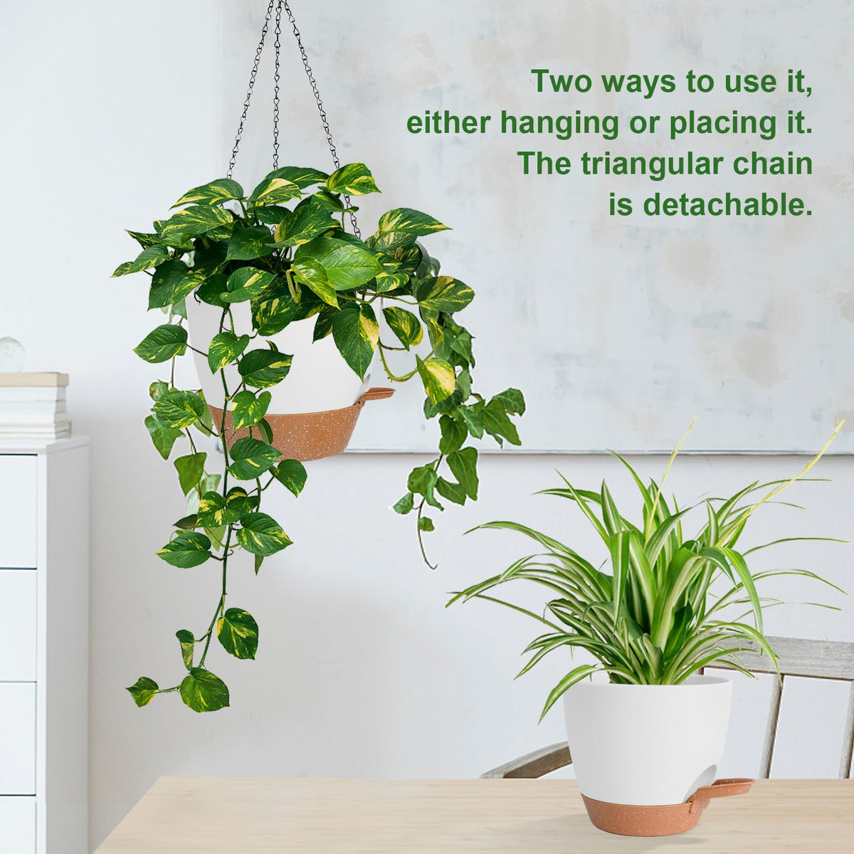 Lucieblessdesign drainage holes hanging planter ensures healthy water drainage.