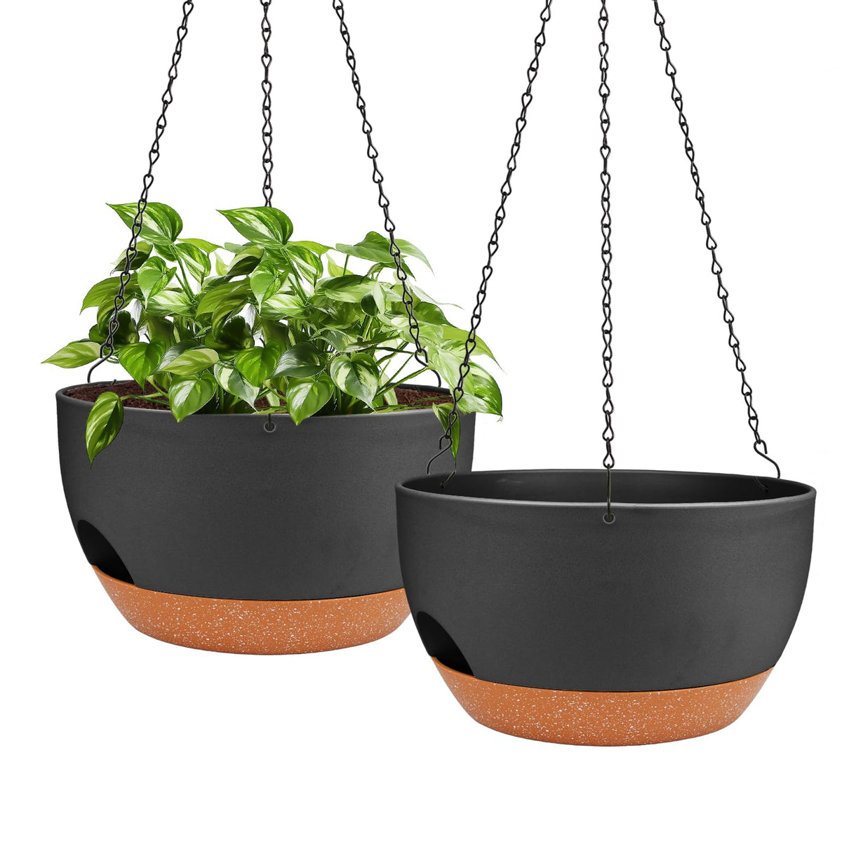 Lucieblessdesign 12-inch self-watering hanging planter ready for indoor or outdoor use