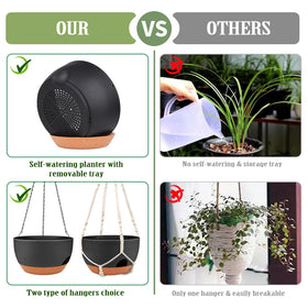 Lucieblessdesign self-watering reservoir keeps plant roots evenly moist