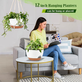 Lucieblessdesign outdoor indoor decor planter elevates any space.