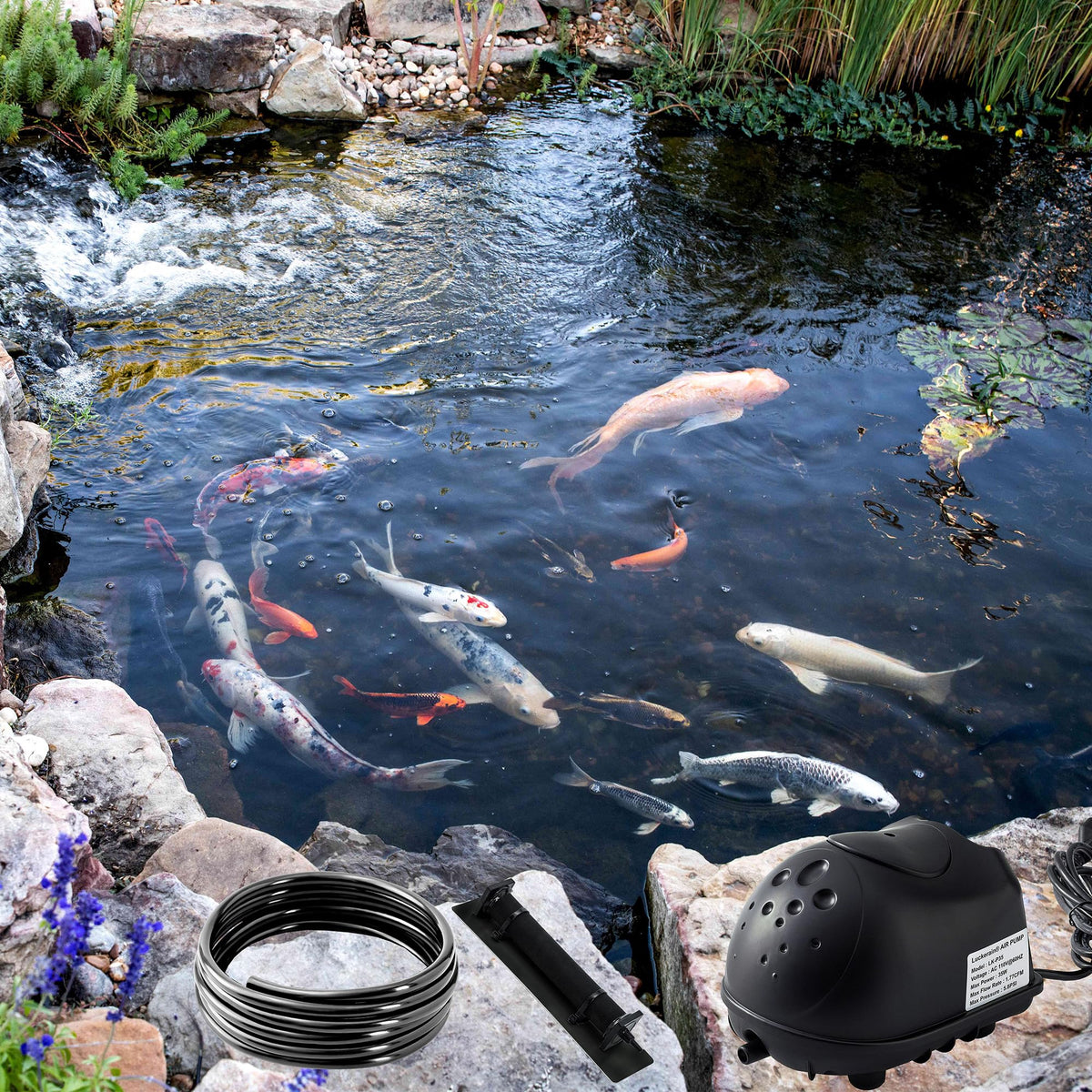 Luckerain psi-flow-rate-1-77cfm illustrates robust aeration capacity for 8000-gallon ponds.