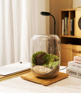 LuckyRunes driftwood moss close-up emphasizes natural textures as a desk accent.