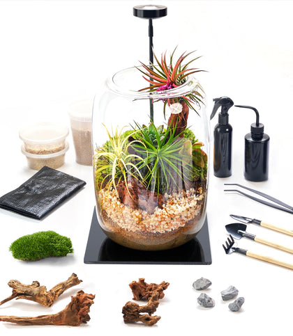 LuckyRunes terrarium kit assembly with glass container showing layered soil, moss, and driftwood for a mini garden.