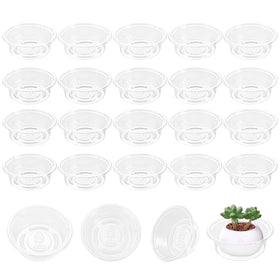 Lucpur clear plant-saucer enhances pot aesthetics while protecting surfaces.