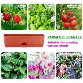 Lucpur herb and vegetable window box, compact for small spaces.