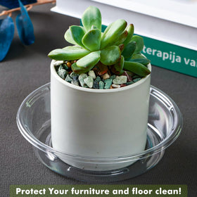 Lucpur plant-saucer 4-inch bottom diameter shows compact support for small pots.