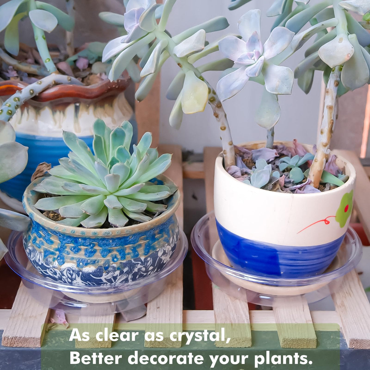 Lucpur plant-saucer transparent design blends with decor while catching drips.